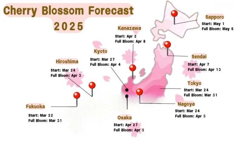 A detailed infographic map of Japan featuring pink gradient lines and dates illustrating the northward progression of cherry blossom blooming across different regions and cities.