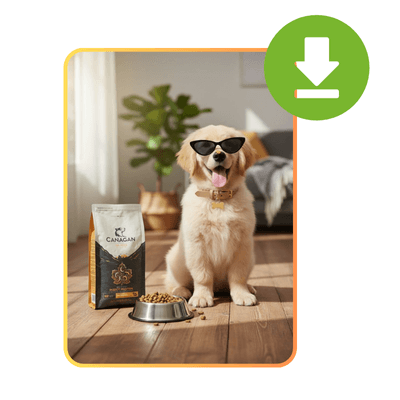 Combinador de Imágenes AI: Paso 3: Deja que AI Combine y Produzca la Imagen