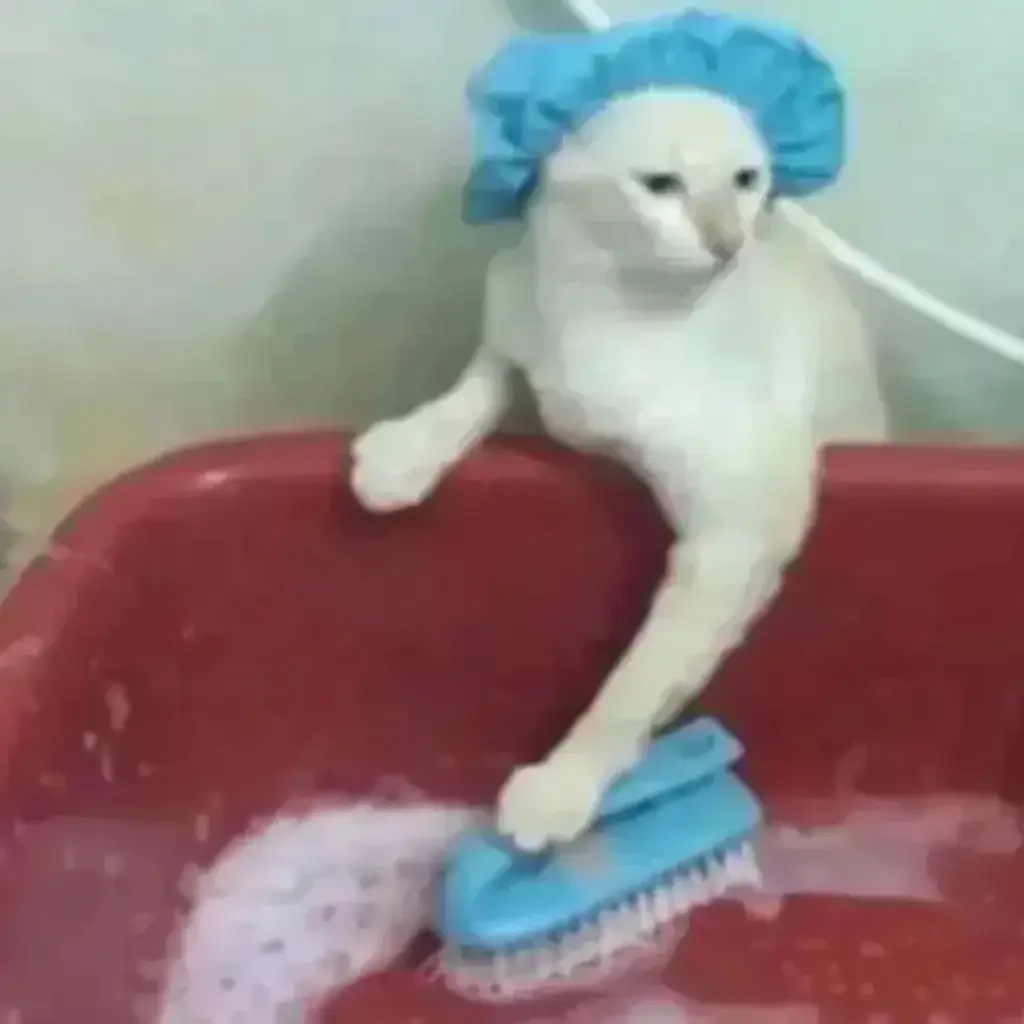 Figure Style: Towel cat in bathroom - VisualGPT