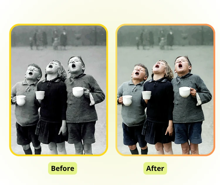 Restauración Natural de Alta Fidelidad