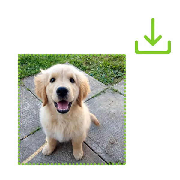 AI Photo Enhancer - Step 3: Preview and Download the Result