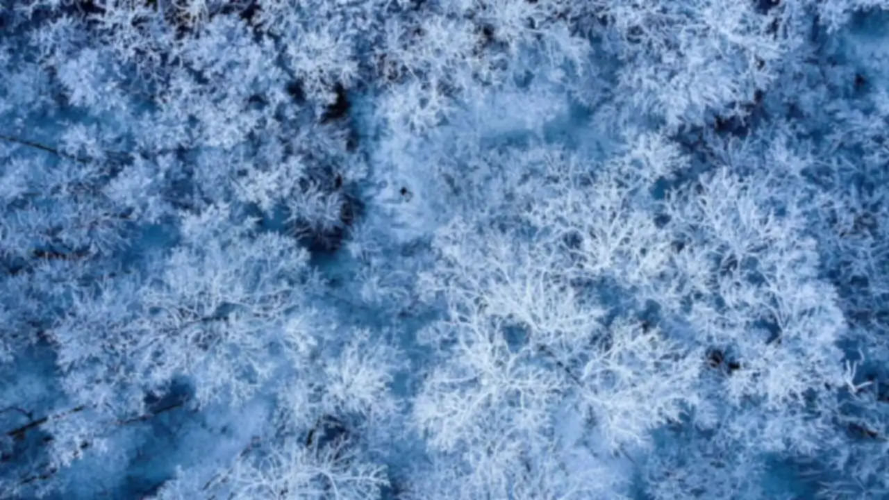 AI Video Enhancer Demo 4