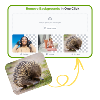 AI Background Remover: Step 1 – Upload the Image You Want to Edit | VisualGPT