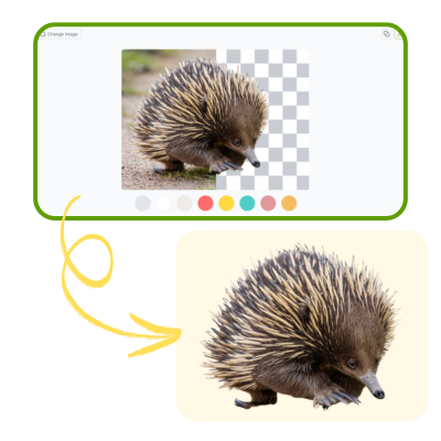 AI Background Remover: Step 3 – Download Your Transparent PNG or Add a Background | VisualGPT