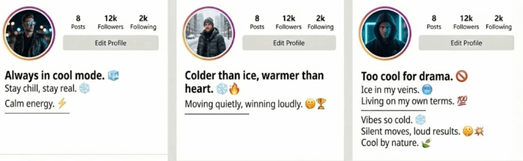 Cool Instagram Bio for Boys + Best Matching Headshot Style