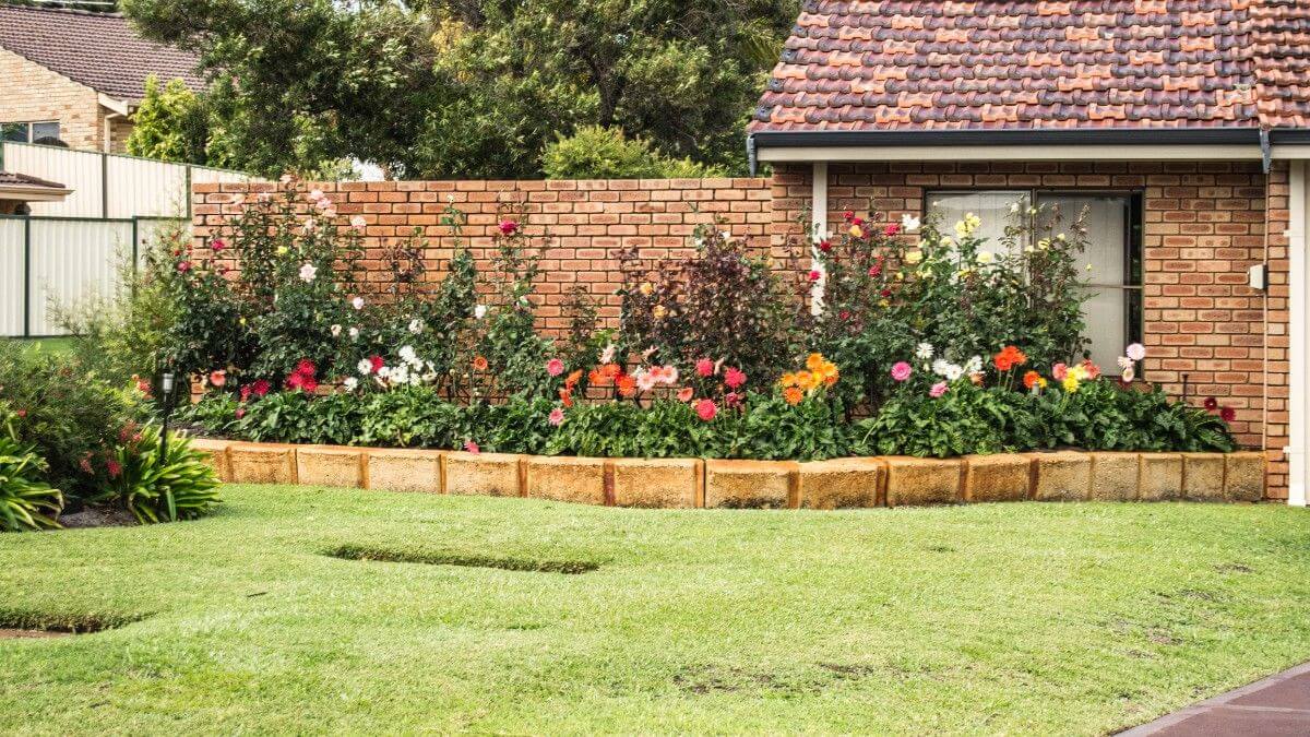Garden Design Generator Sample: Garden