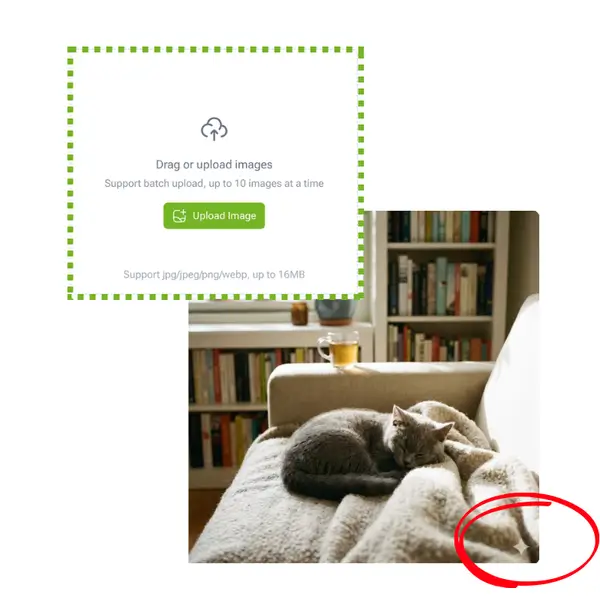 Gemini Удаление Водяных Знаков - Шаг 1: Загрузите или выберите фото модели